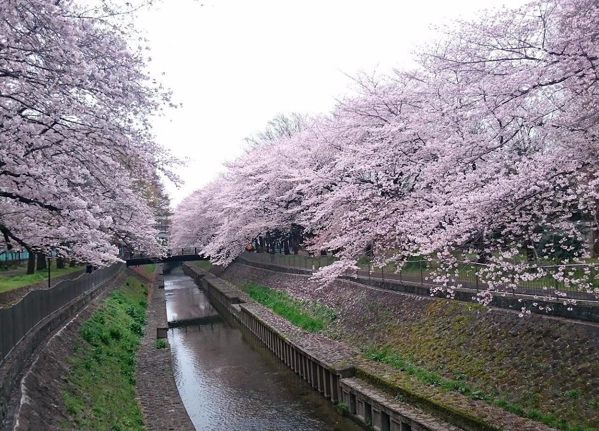 🌳 아카쓰카 공원 이미지 6